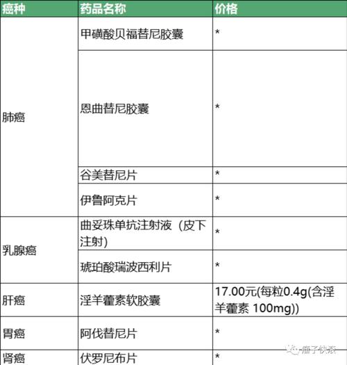 西安2024肿瘤药物公司排名深度解析：选对平台让高价药不再闲置